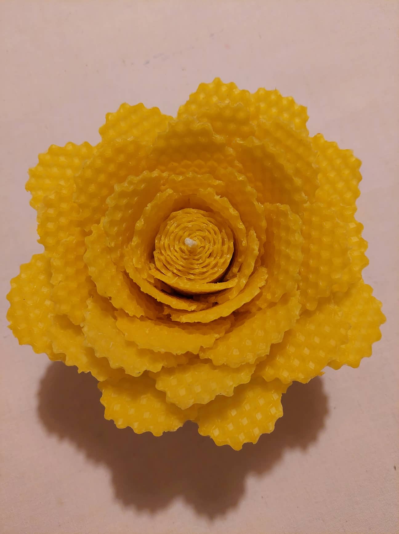 kvet - žltý
