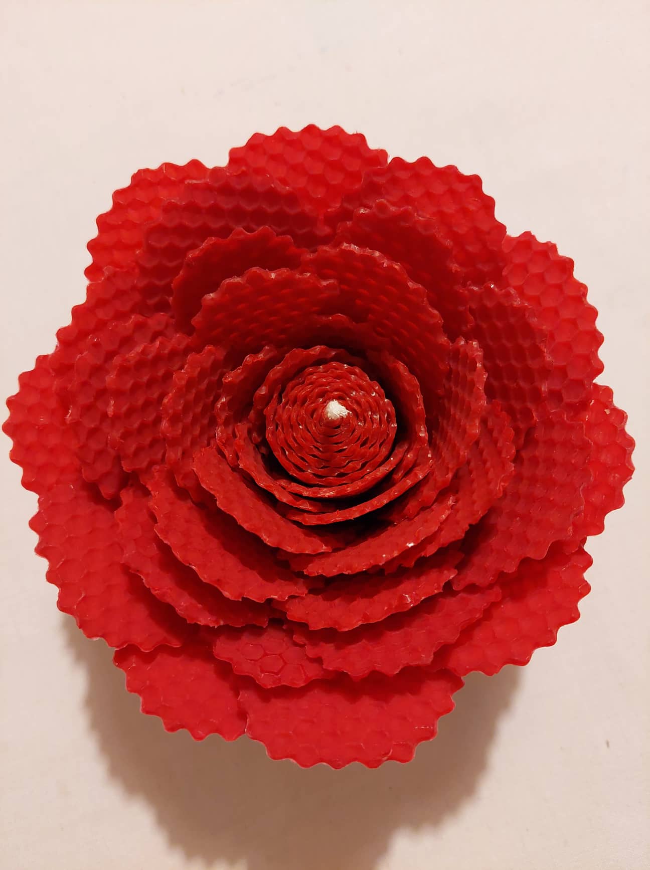 kvet - červený